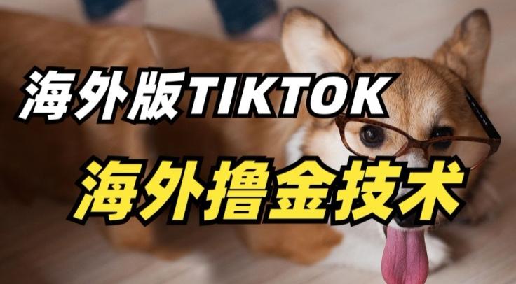 抖音海外版tiktok撸金技术，这个风口行业，赚钱真的不难【揭秘】-千优网创