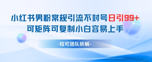 小红书男粉常规引流不封号日引99+变现简单 可矩阵可复制小白容易上手-千优网创