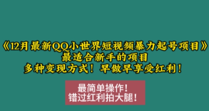 12月最新QQ小世界短视频暴力起号项目，最适合新手的项目，多种变现方式-千优网创