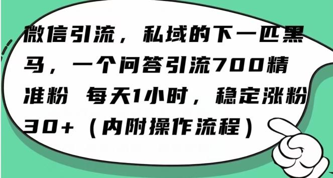 怎么搞精准创业粉？微信新赛道，每天一小时，利用Ai一个问答日引100精准粉-千优网创