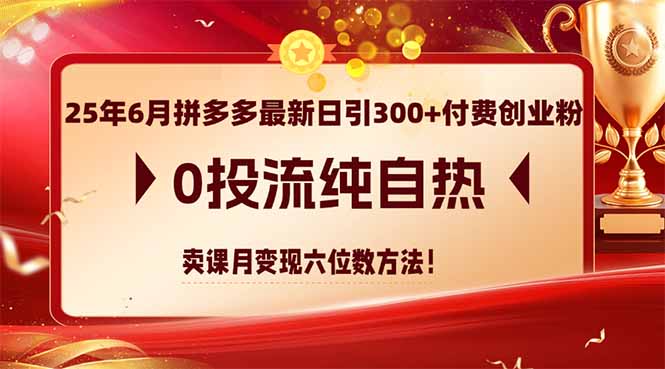 25年6月拼多多最新日引300+付费创业粉，0投流纯自热 卖课月变现六位数方法-千优网创