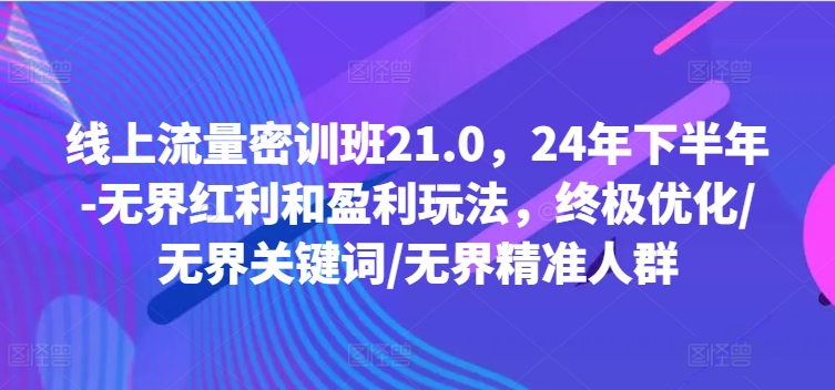 线上流量密训班21.0,24年下半年-无界红利和盈利玩法,终极优化/无界关键词/无界精准人群-千优网创